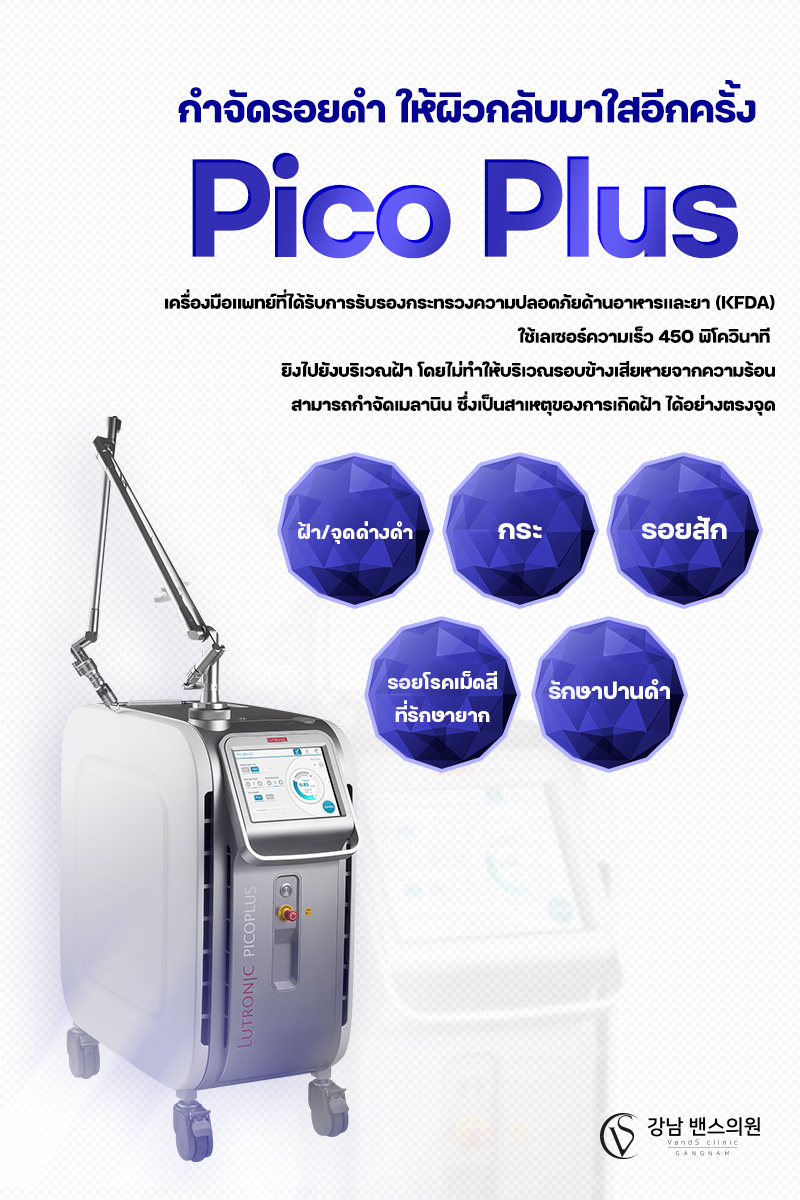 PICO PLUS - สาขาฮงแด