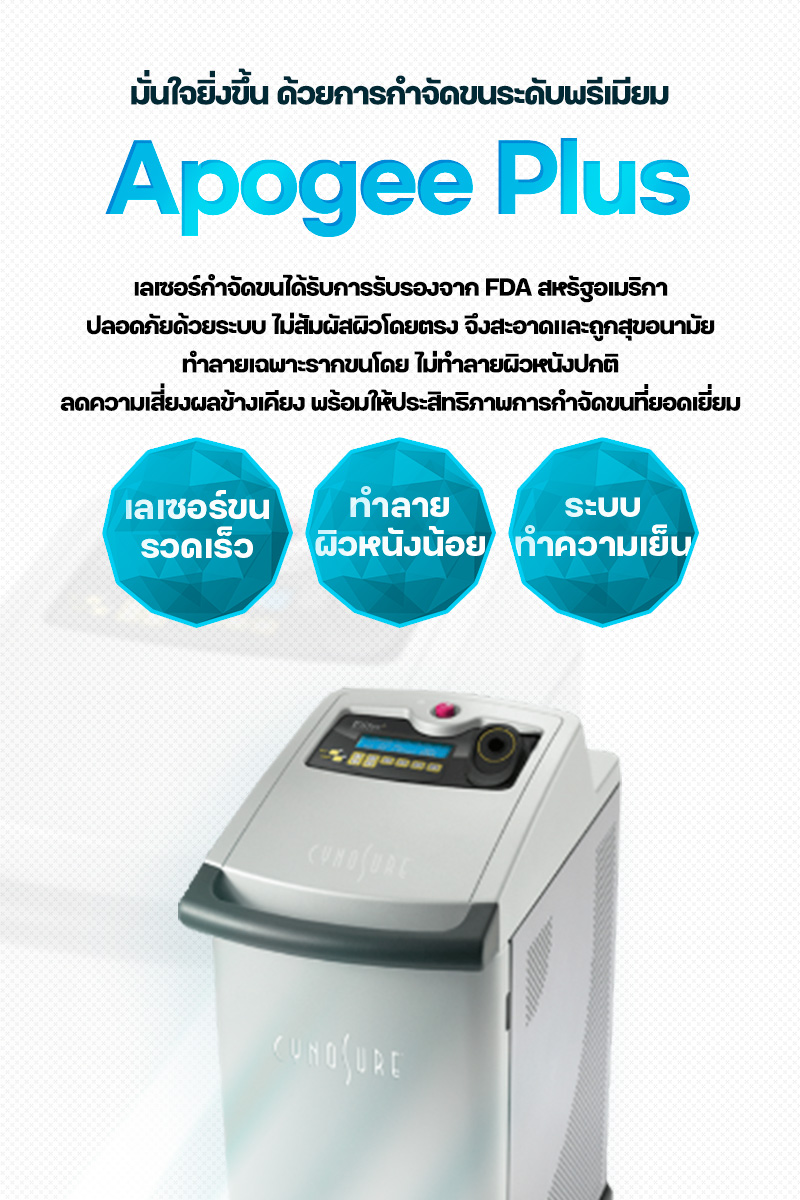 APOGEE PLUS - สาขาฮงแด